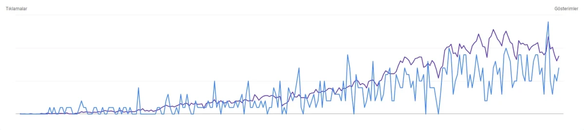 Kalif'in Search Console grafiği: sıfıra yakın başlayan tıklama ve gösterimler dönem boyunca istikrarlı biçimde artıyor.